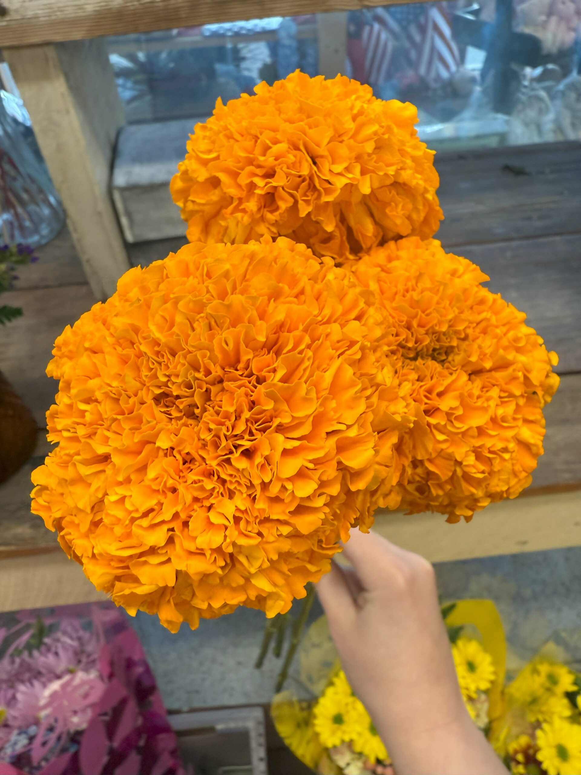 Why are Marigolds Important to Day of the Dead Celebrations?