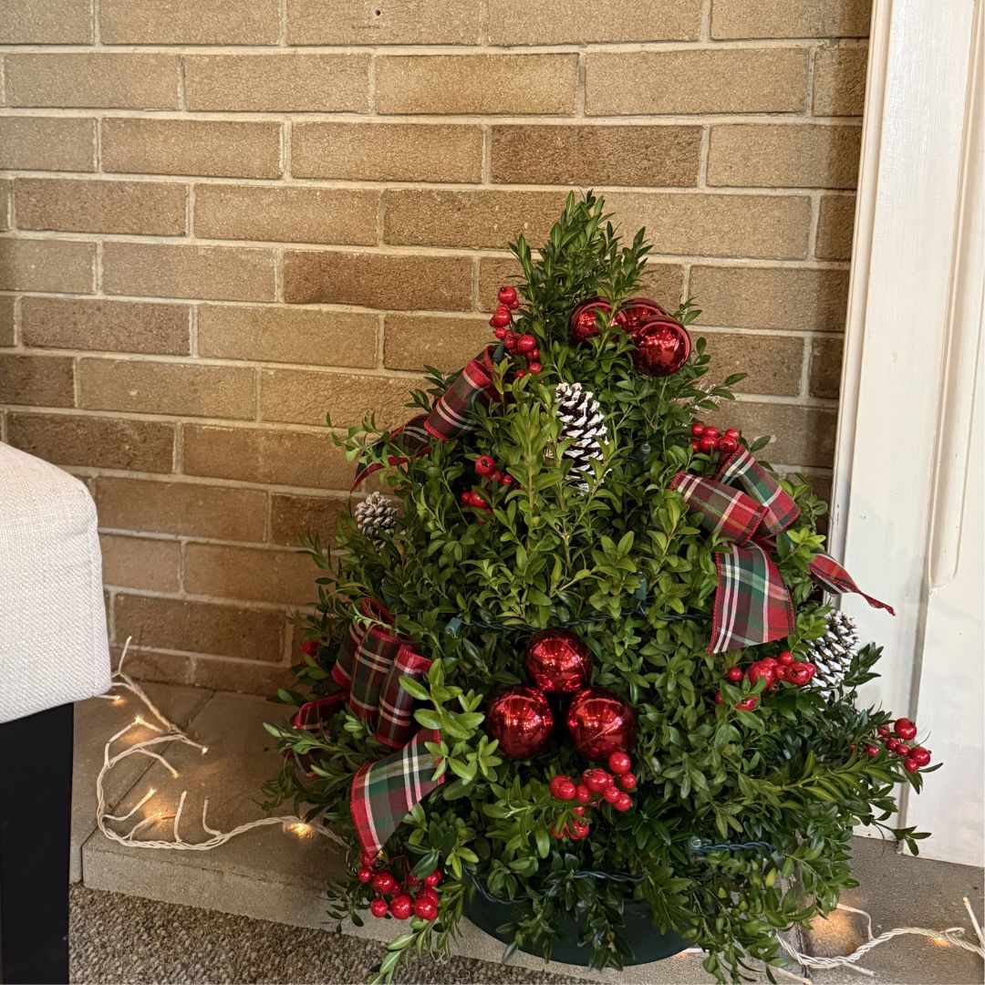 How to Care for Cut Boxwood Trees