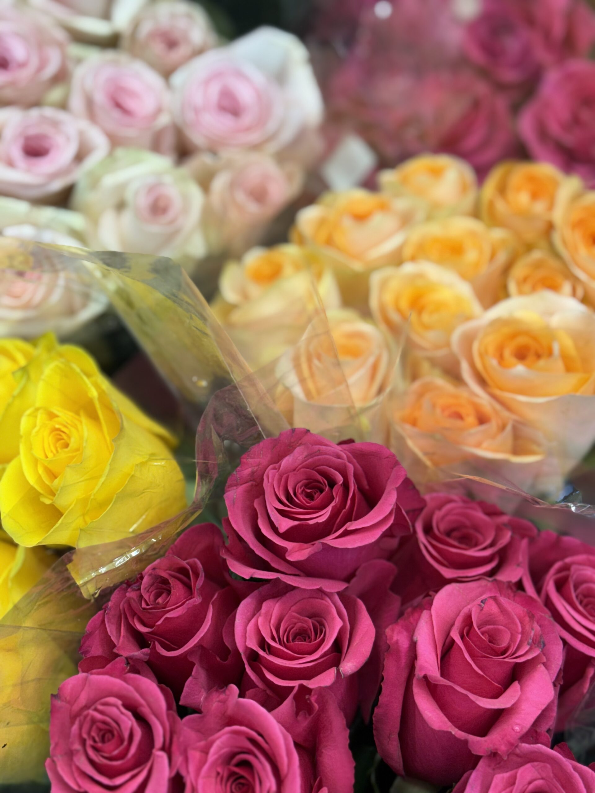 How to Make the Most of Your $9.99 Roses